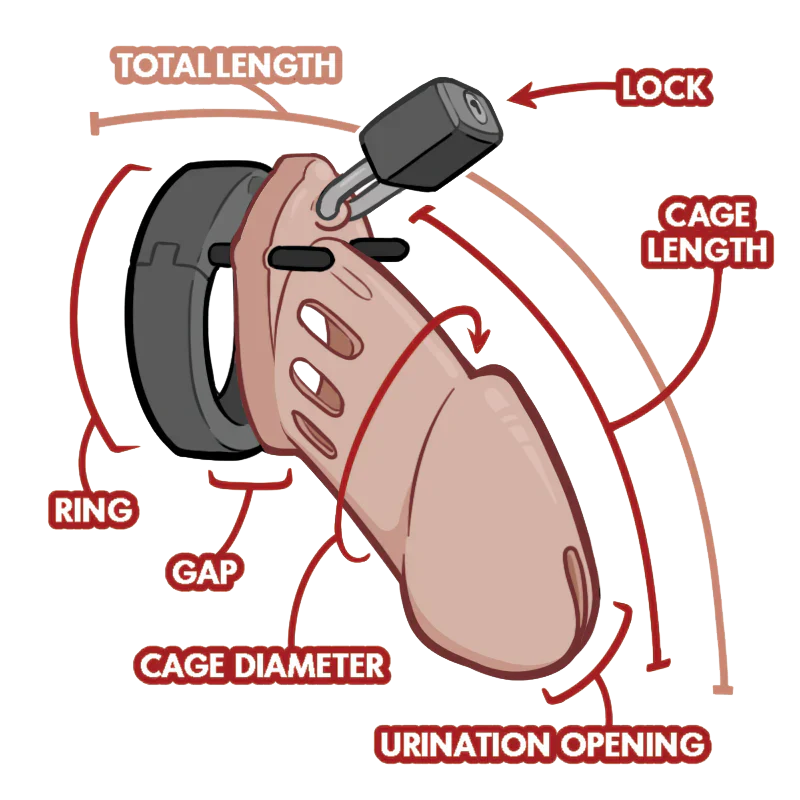 The Beginner’s Guide to Chastity Cage Sizing 🔒 - 4Play Essentials
