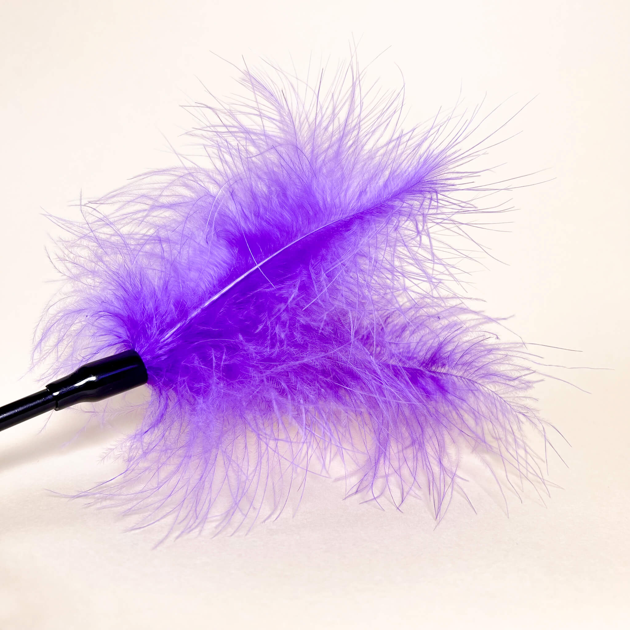 Purple feathered cat toy on a white background