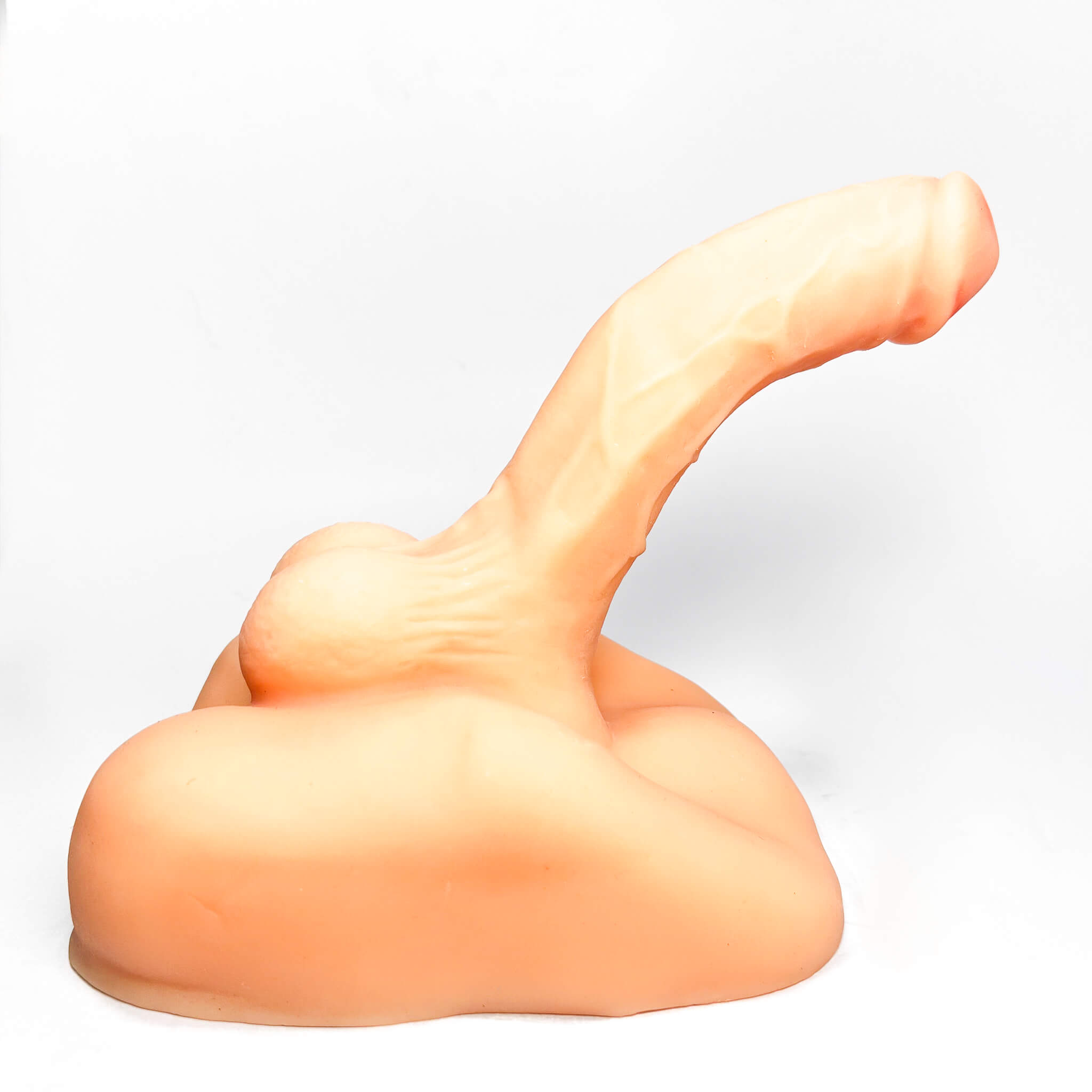 The Rider’s Choice 2-in-1 Dildo & Anal Masturbator