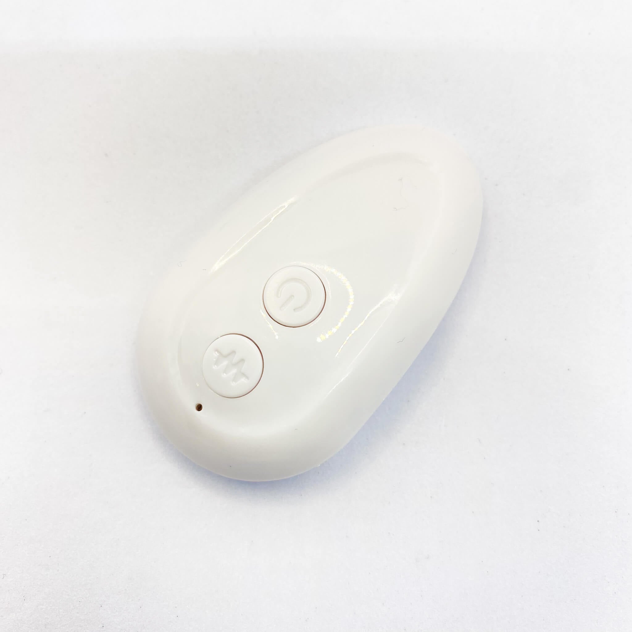 dildo with remote