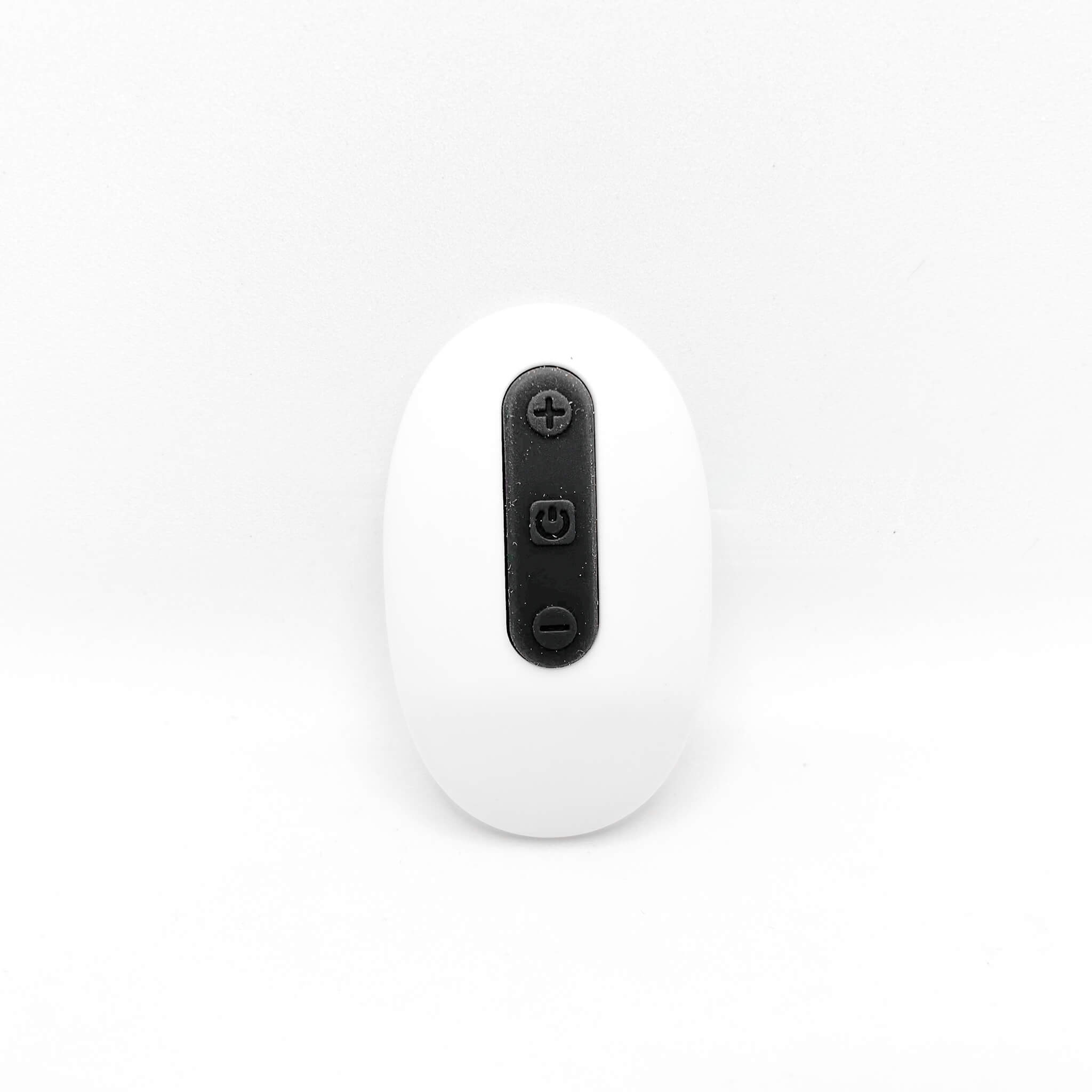 remote control buttplug