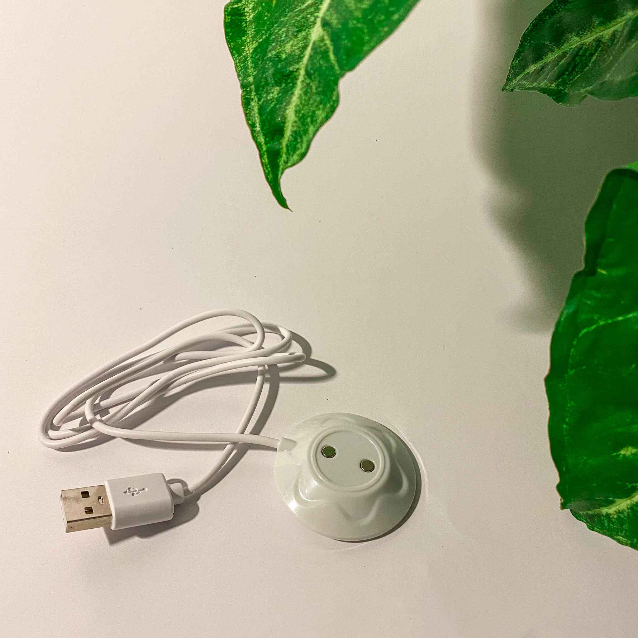 The Rose Vibrator