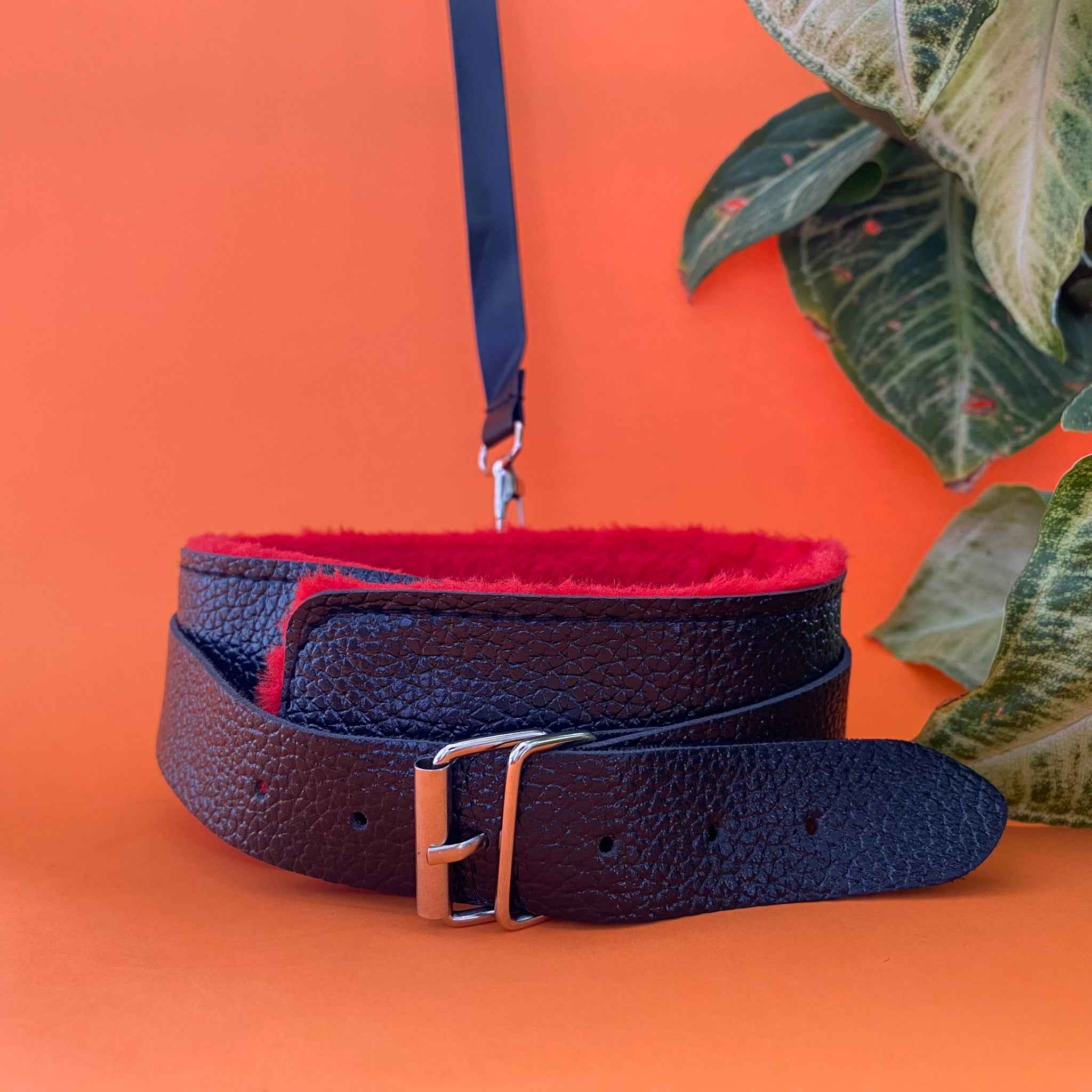 Leather Adjustable Collar and Snap Hook Leash