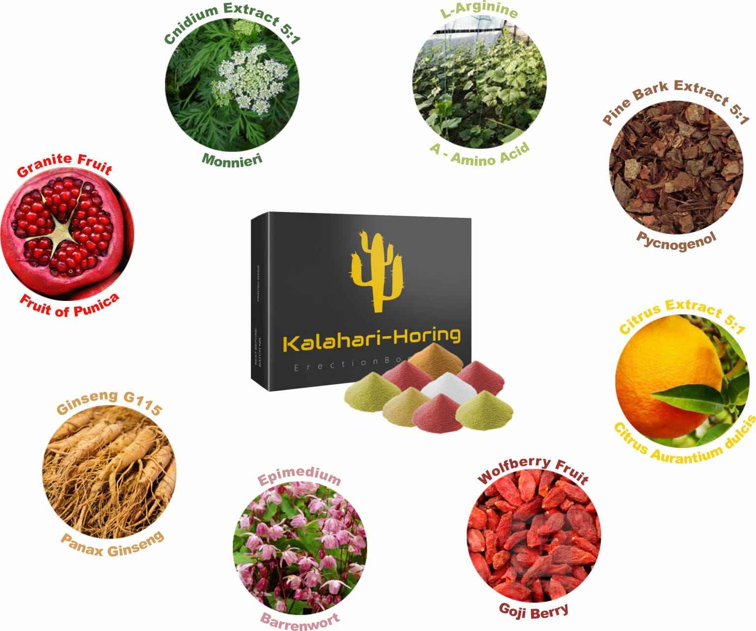 Kalahari Horing Male Enhancement and Erection Booster (4s)