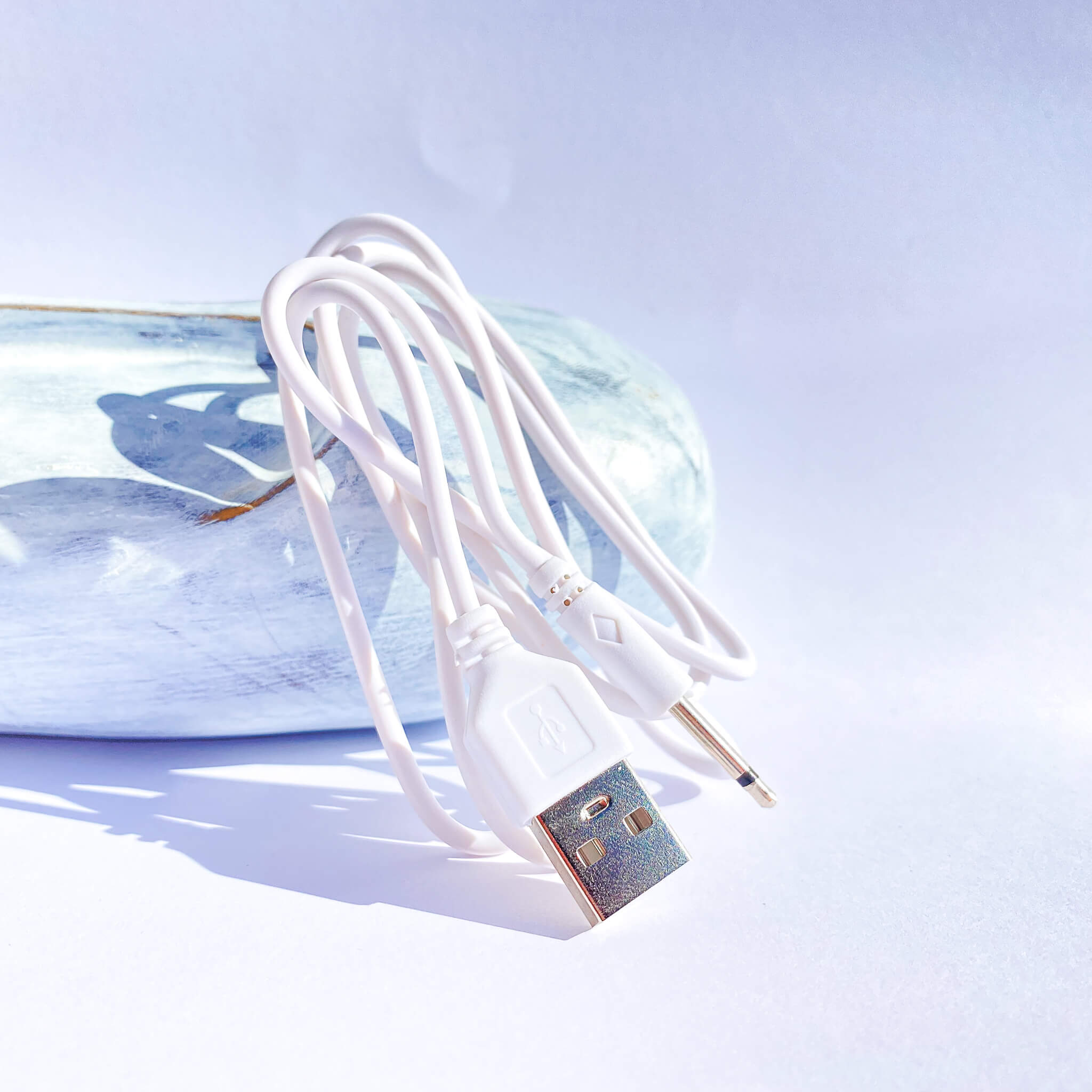 Standard Vibrator USB Charger