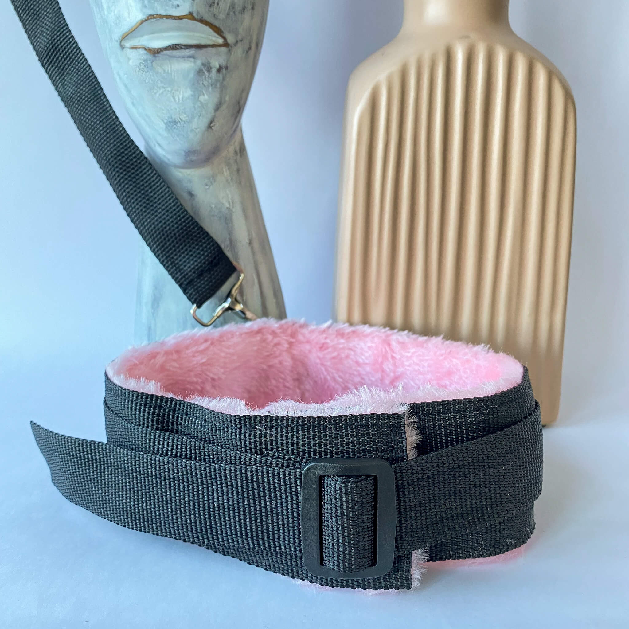 bondage collar and leash