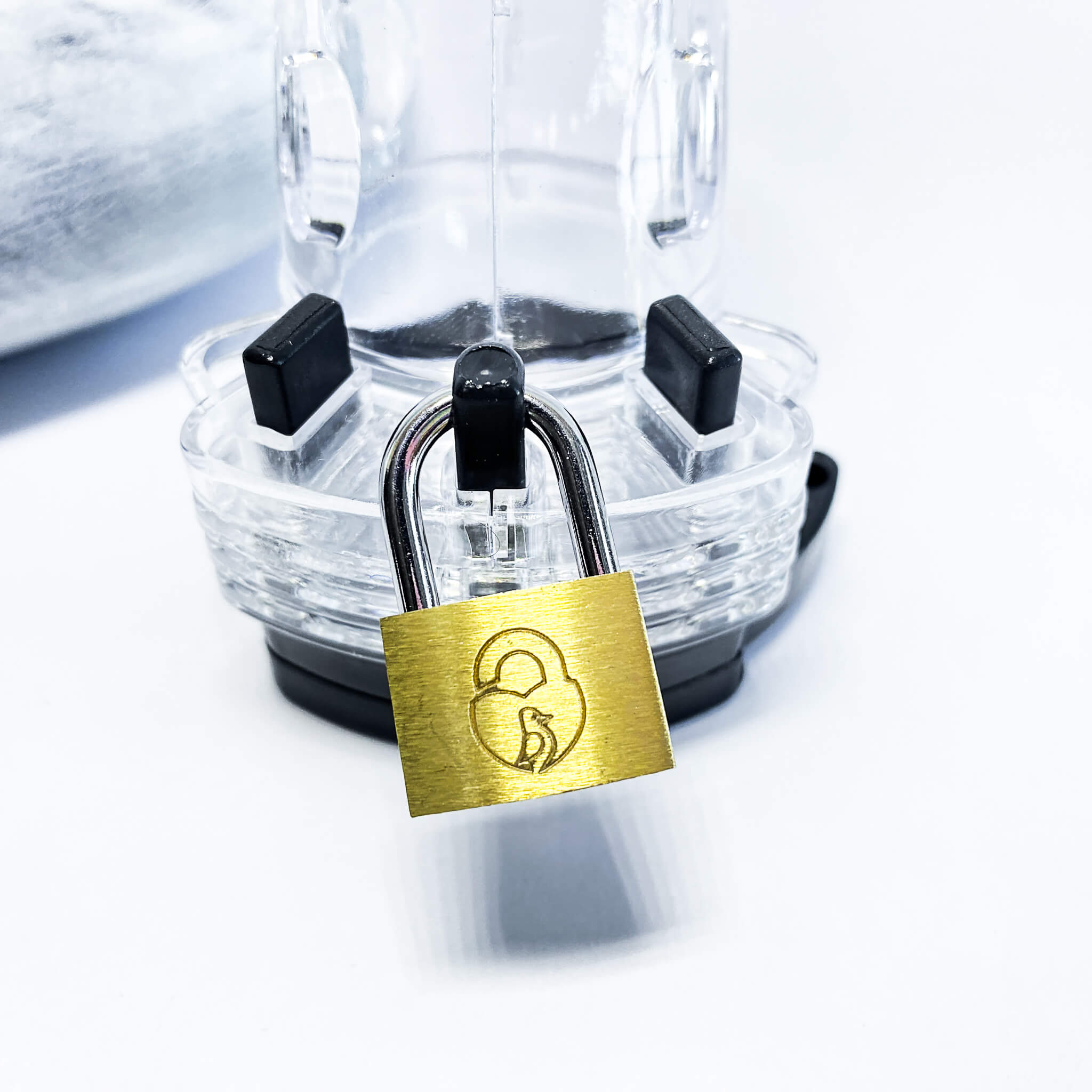 chastity south africa