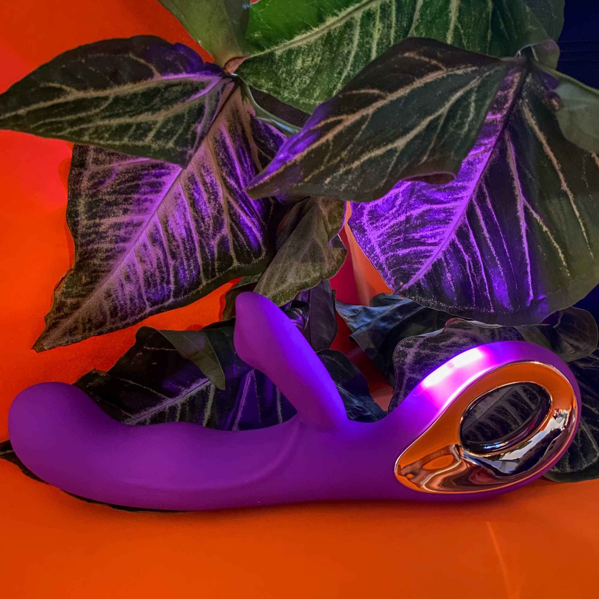 Dual Stimulating Rabbit Vibrator