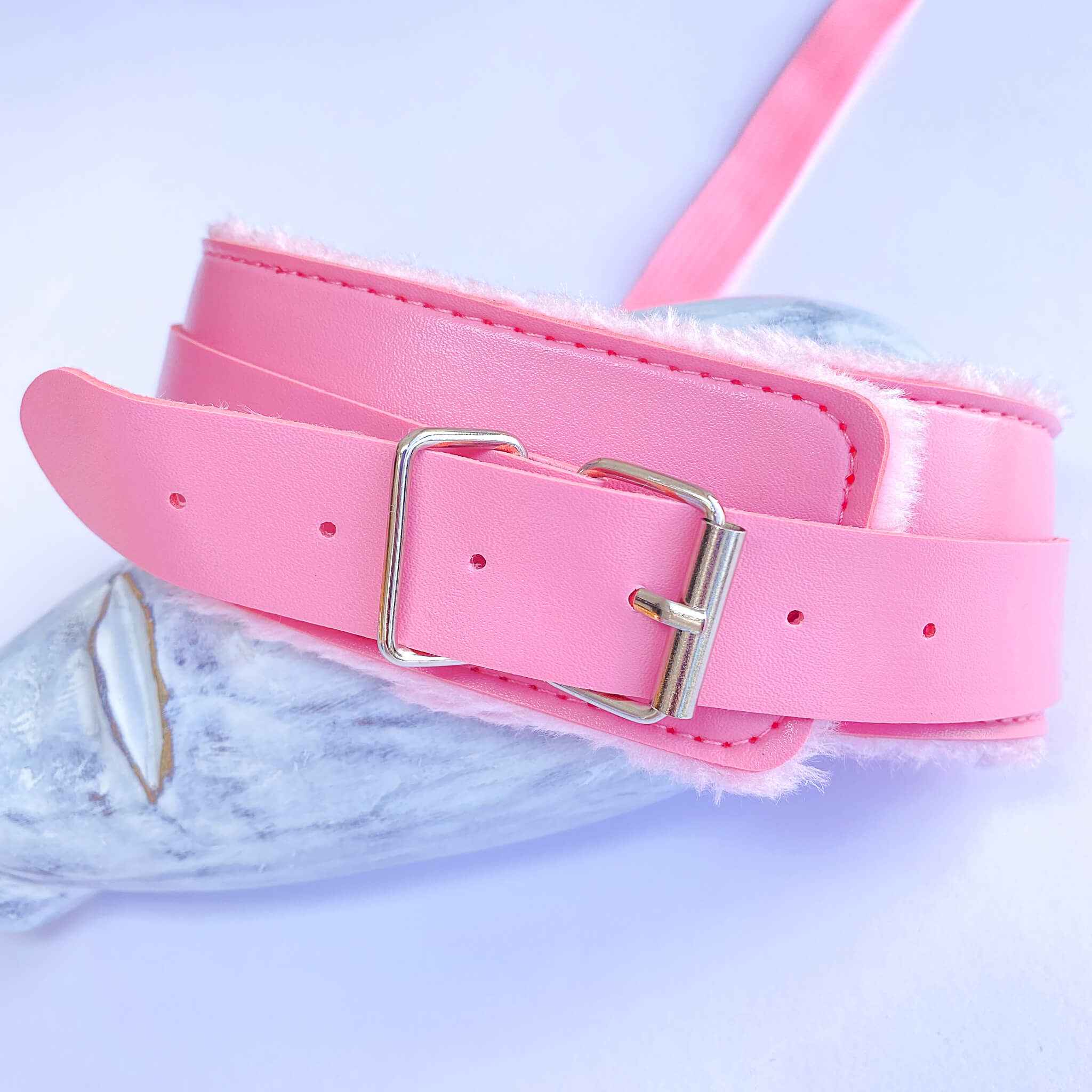 Leather Adjustable Collar and Snap Hook Leash