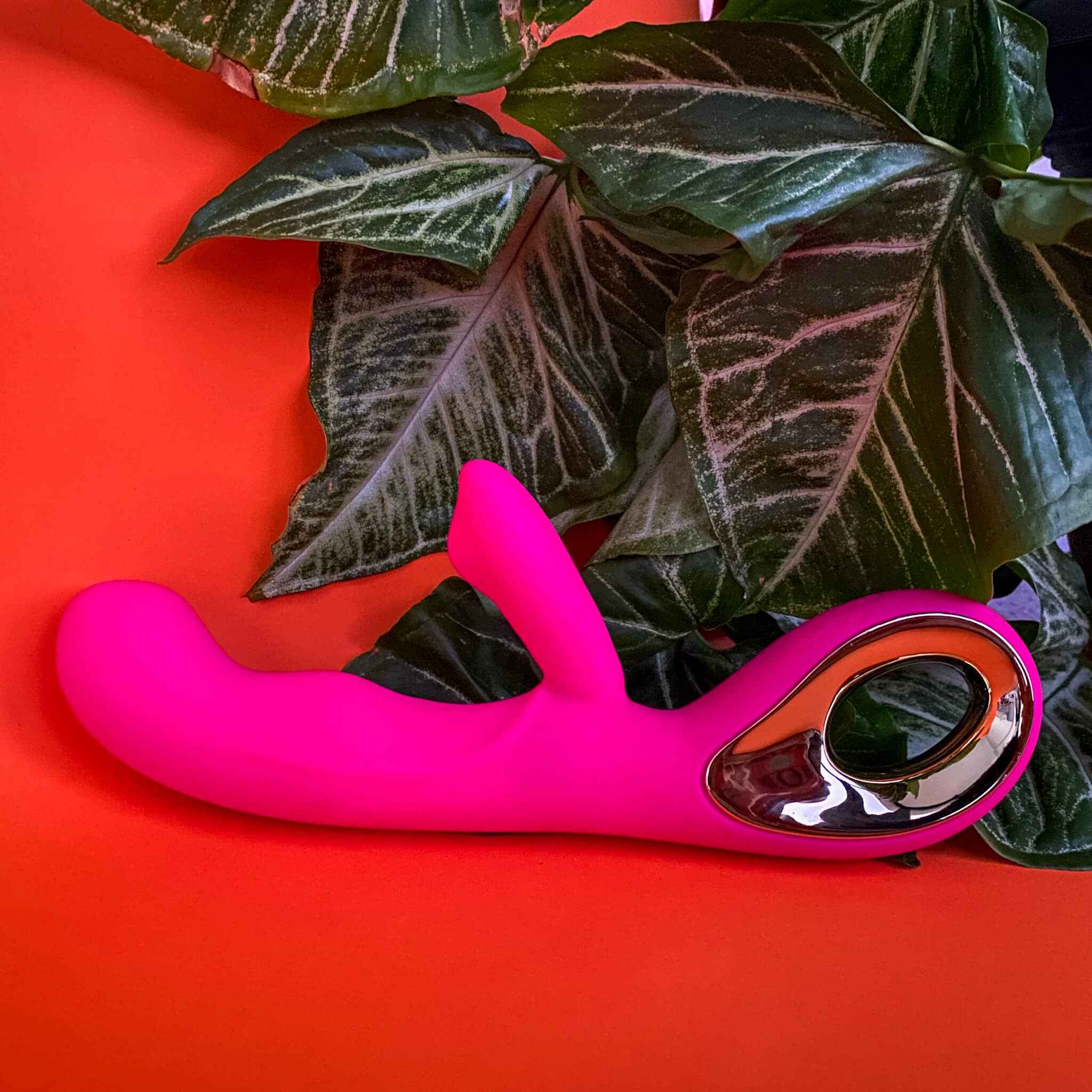 Dual Stimulating Rabbit Vibrator