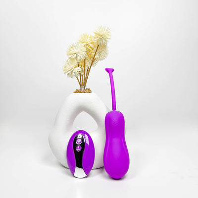Purple and white Insertable Remote Vibrator device with a white vase and dried flowers on a light gray background