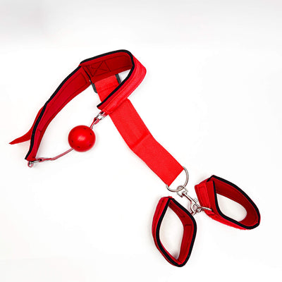 Hands Back Ball Gag Restraint