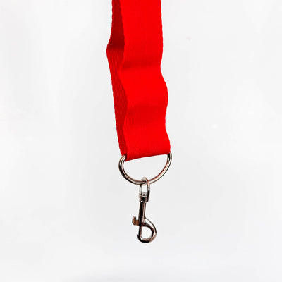Hands Back Ball Gag Restraint