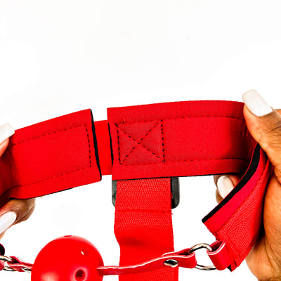 Hands Back Ball Gag Restraint