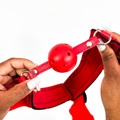 Hands Back Ball Gag Restraint