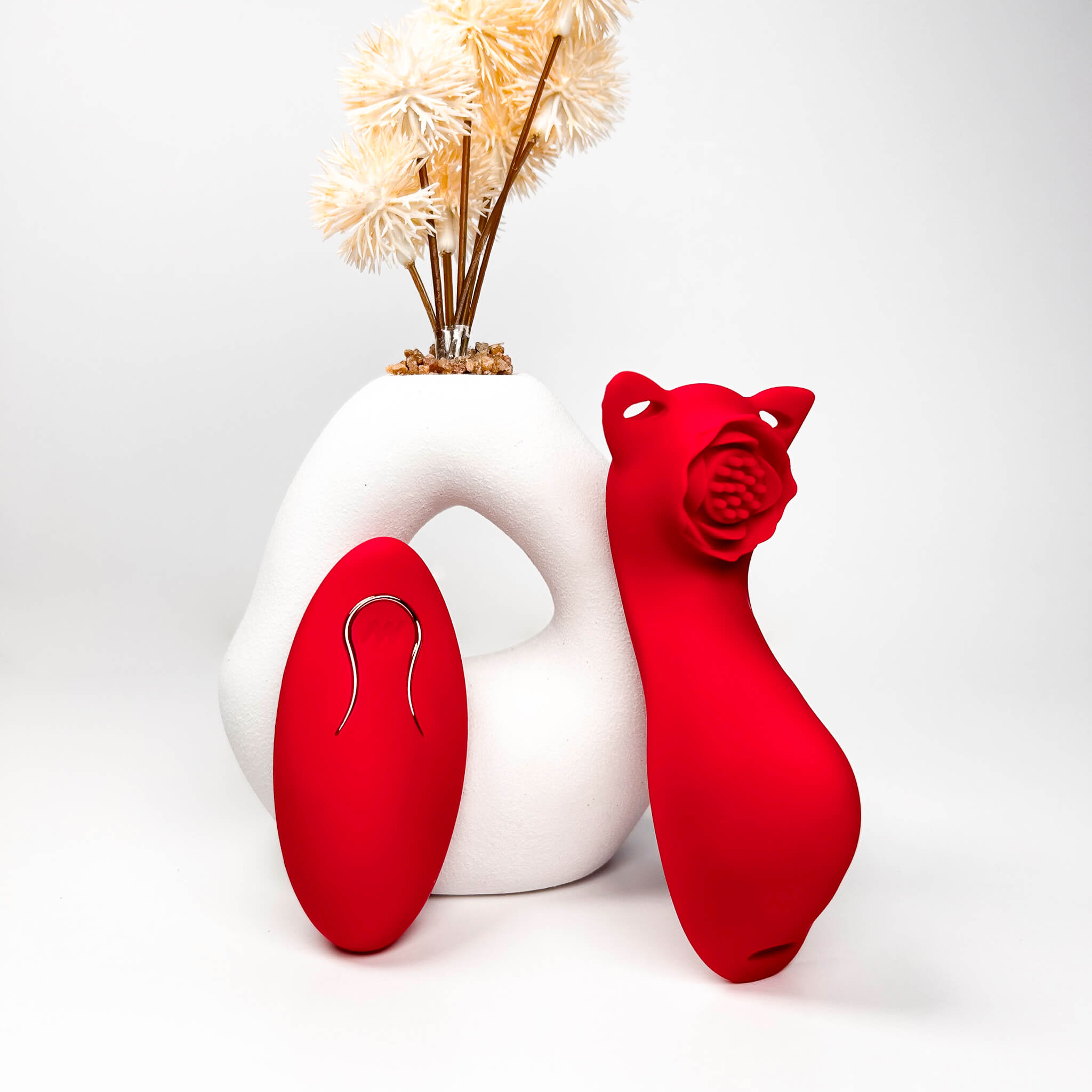 Red Remote Control Panty Vibrator and dried flowers on a white background