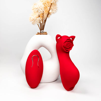Red Remote Control Panty Vibrator and dried flowers on a white background