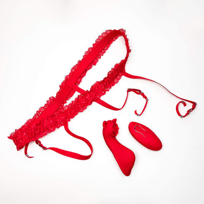 Remote panties vibrator  on a white background