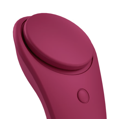 Satisfyer Sexy Secret Panty Vibrator