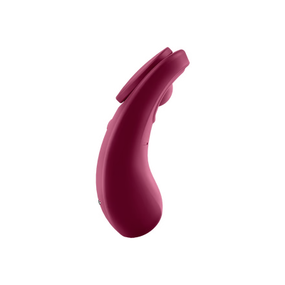 Satisfyer Sexy Secret Panty Vibrator