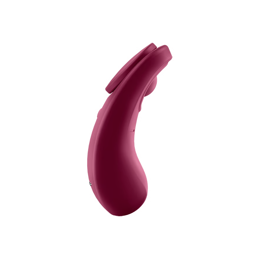 Satisfyer Sexy Secret Panty Vibrator