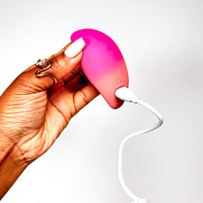 Undercover Lover Remote Control Panty Vibrator