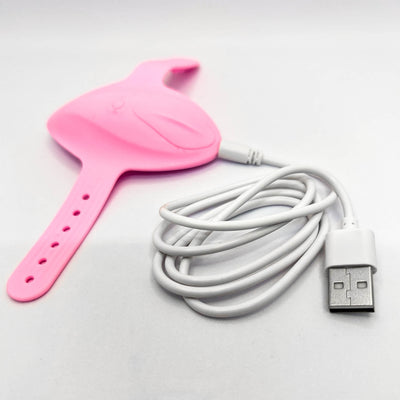 app controlled vibrating panties