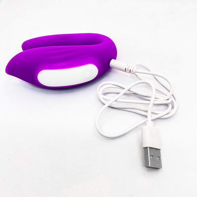 insertable remote vibrator usb rechargeable