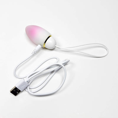 jumping egg vibrator sex toy with pink top and USB cable on a white background