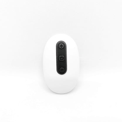 remote control buttplug