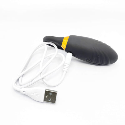 remote vibrator sex toy