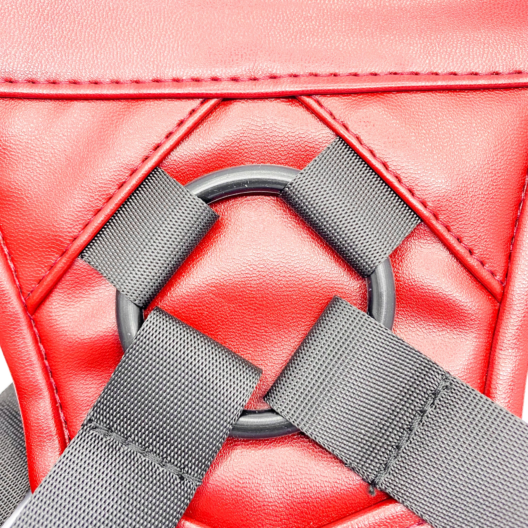 strap on harness near me