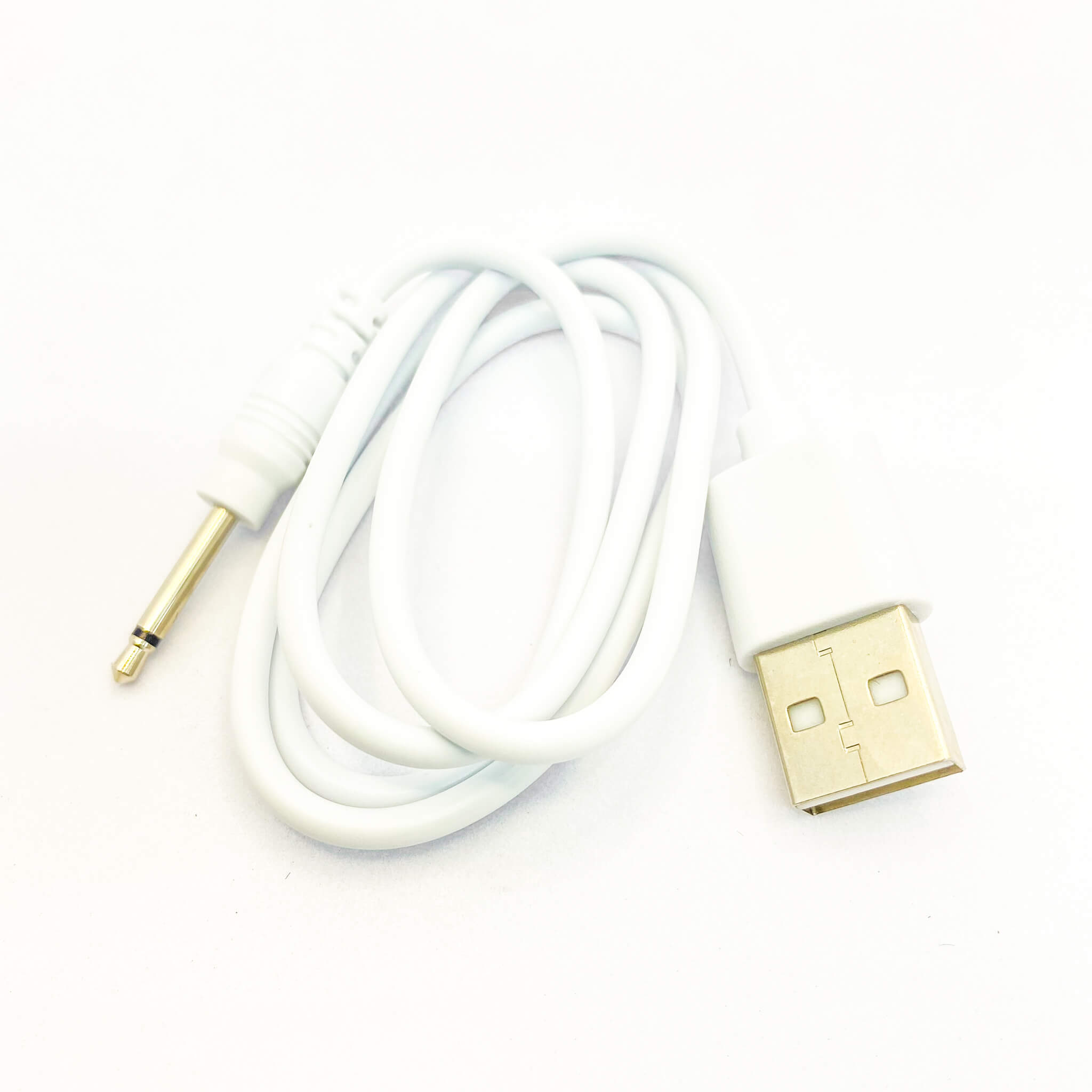 Wearable Vibrator for women charger