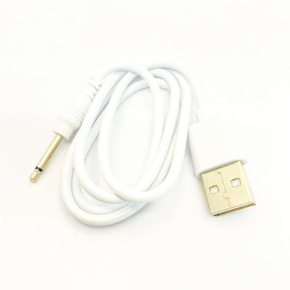 Wearable Vibrator for women charger