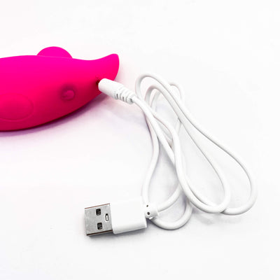 wireless panty vibrator south africa