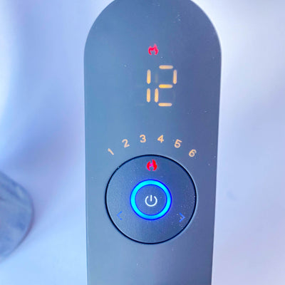 12 Speed Heated Magic Wand Vibrator