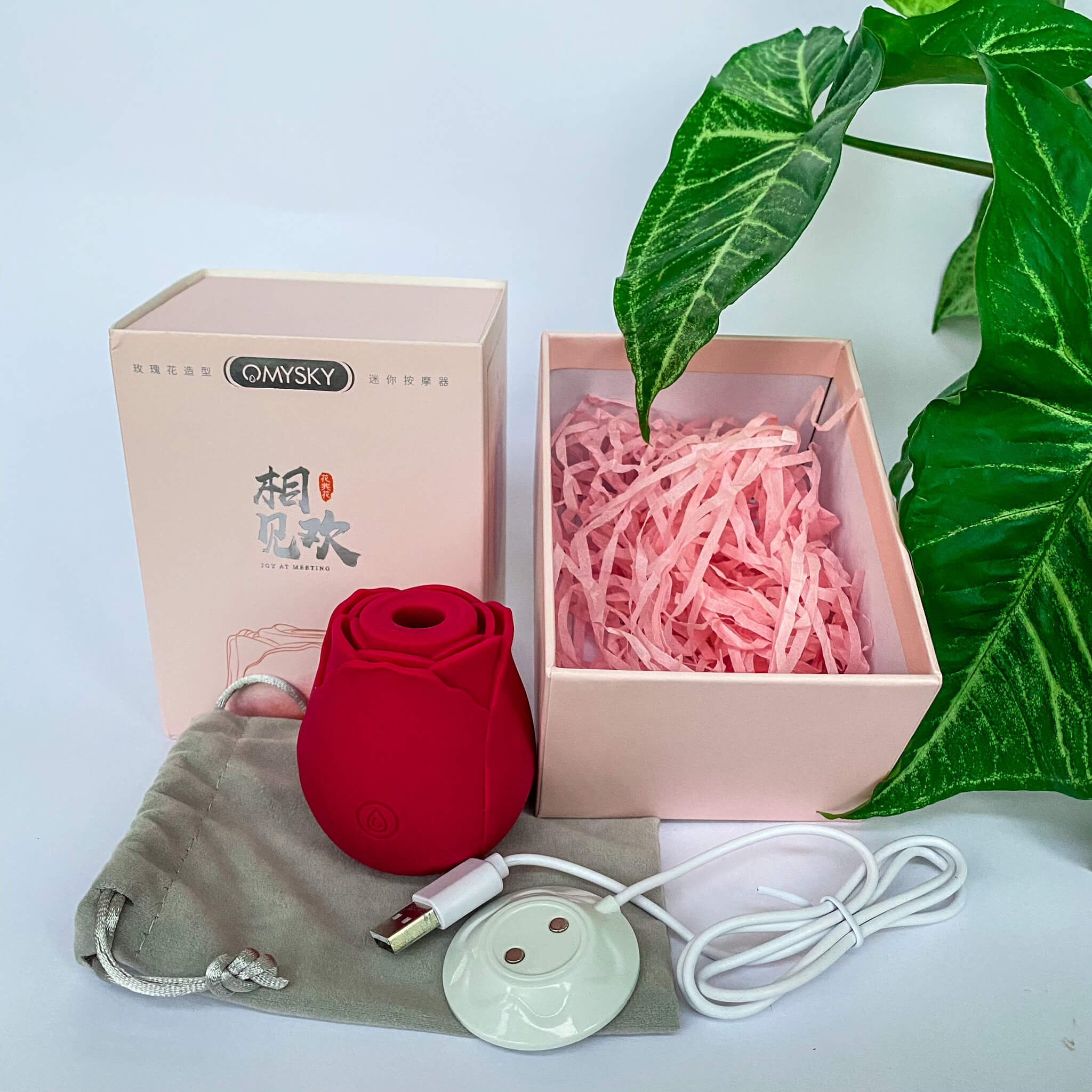 clit massager