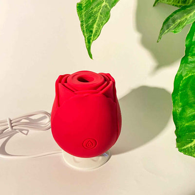 The Rose Vibrator