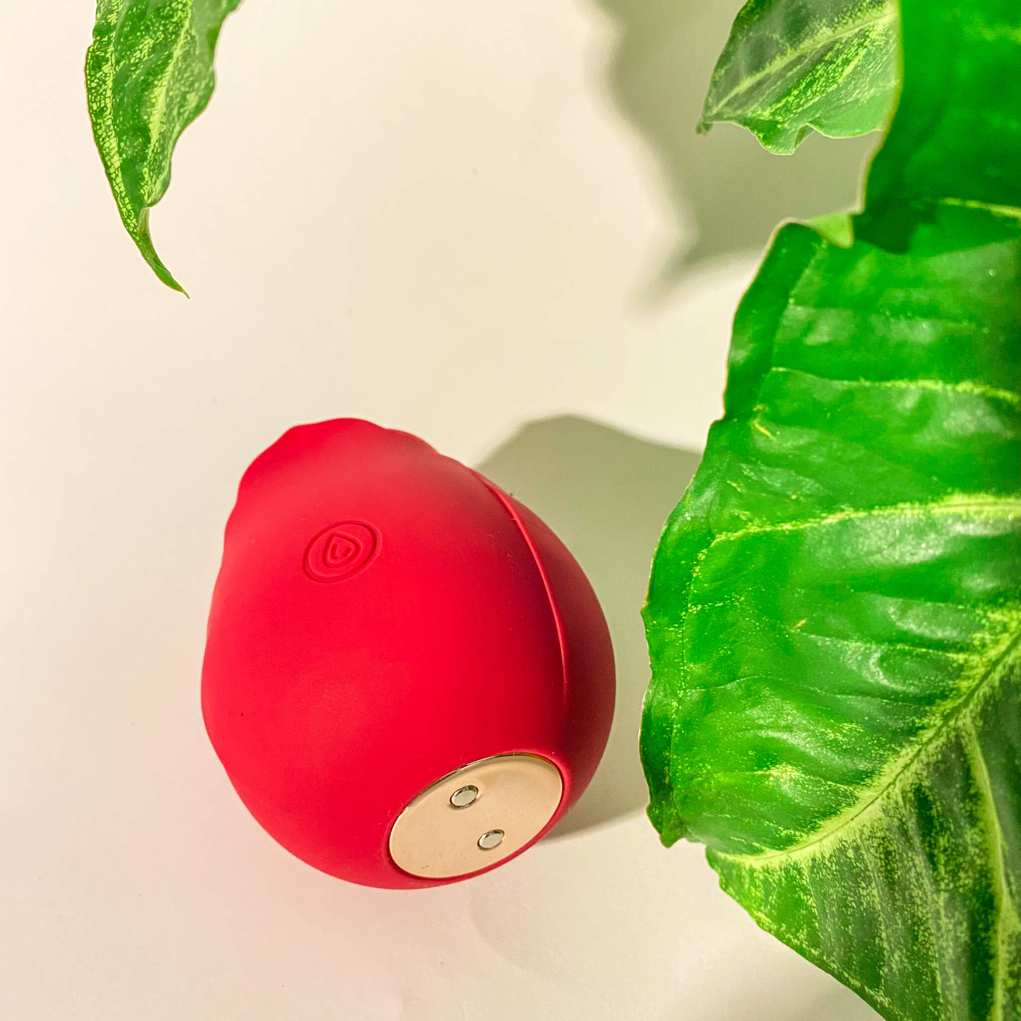 vibrator fast charging