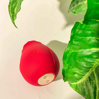 The Rose Vibrator