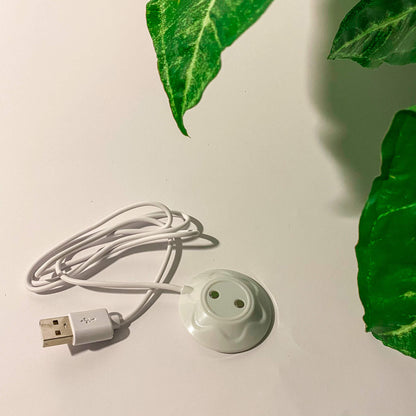 The Rose Vibrator