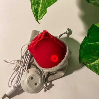 The Rose Vibrator