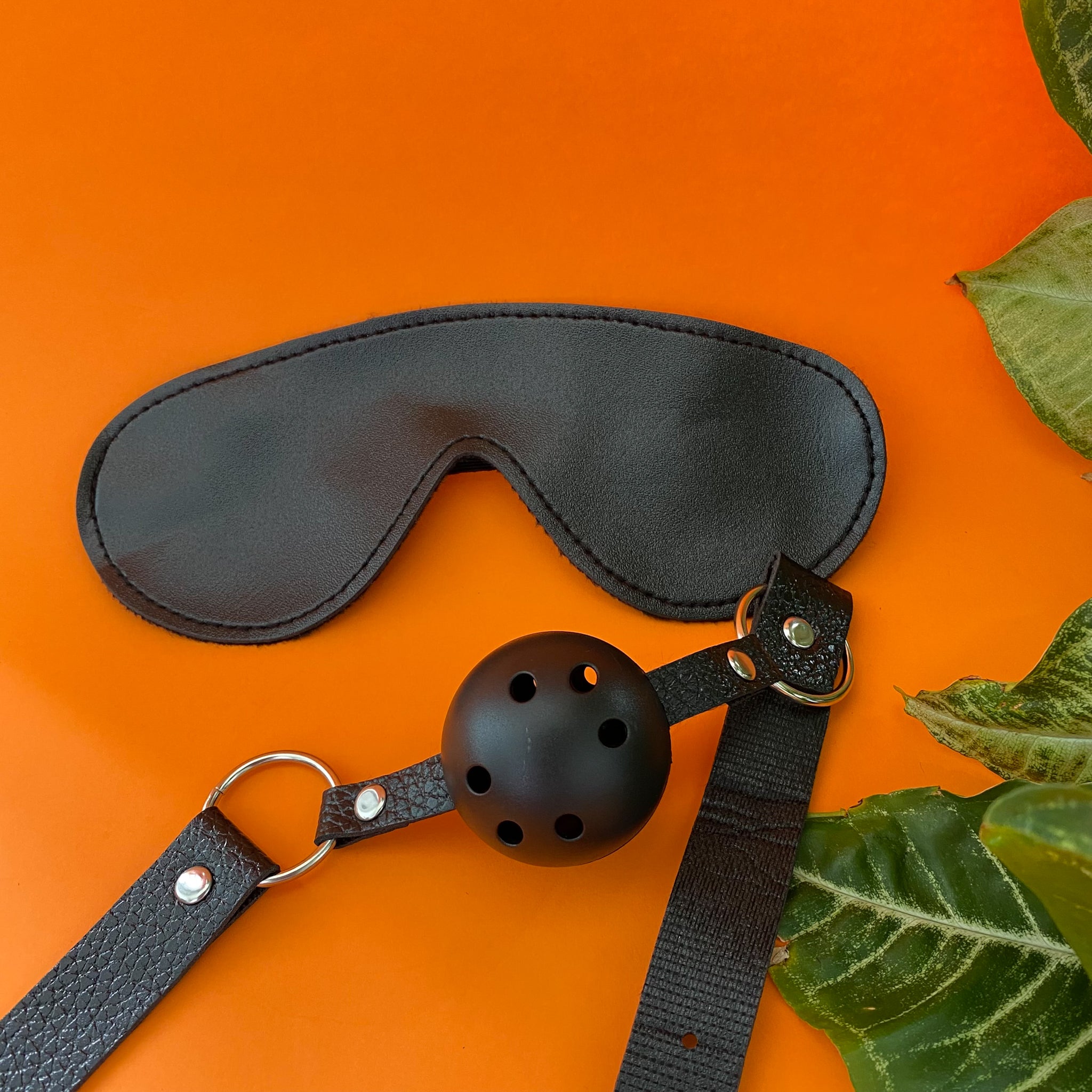 Mouth Gag & Blindfold Light Bondage Kit (2-pieces)