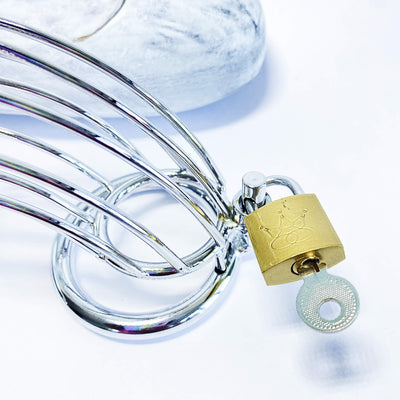 Chastity Cages south africa