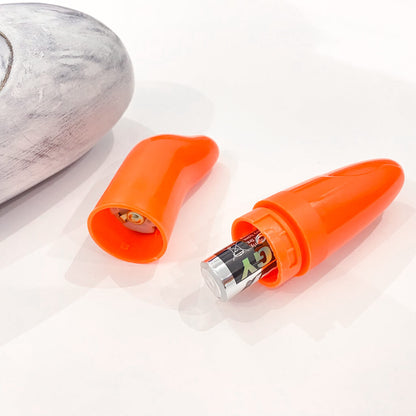 Dolphin G-Spot Mini Bullet Vibrator