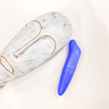 Dolphin G-Spot Mini Bullet Vibrator