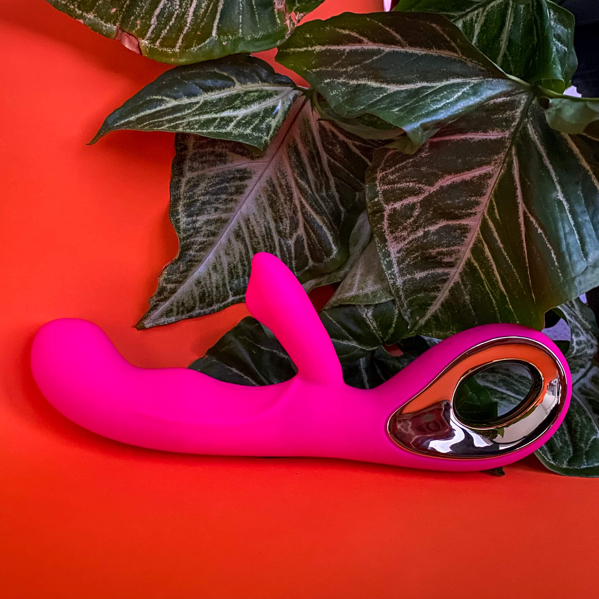 nice rabbit vibrator