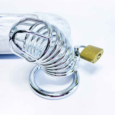 Rings of Imprisonment Male Chastity Cock Cage