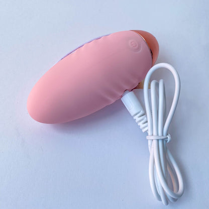 rechargeable egg